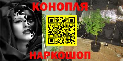 шишки Конаково