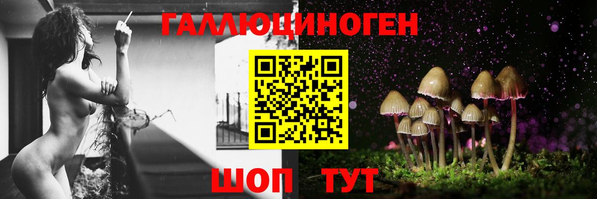 Канаш  Псилоцибиновые грибы Psilocybine cubensis  Вход с VPN 